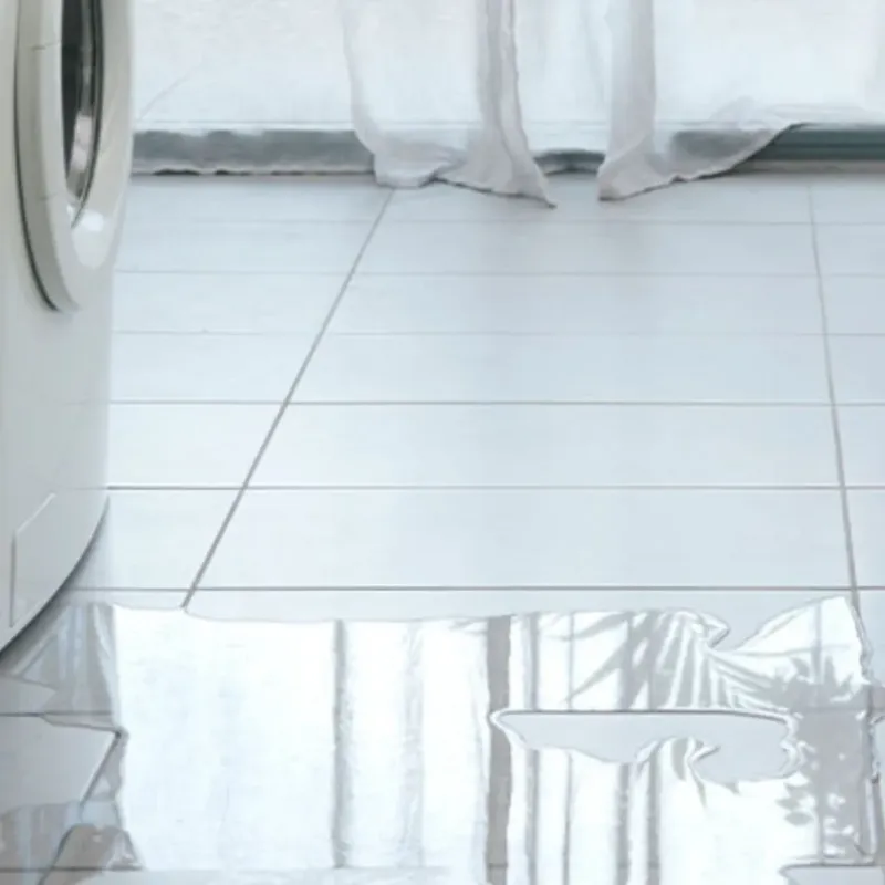 Appliance Leak Cleanup in River Oaks, TX