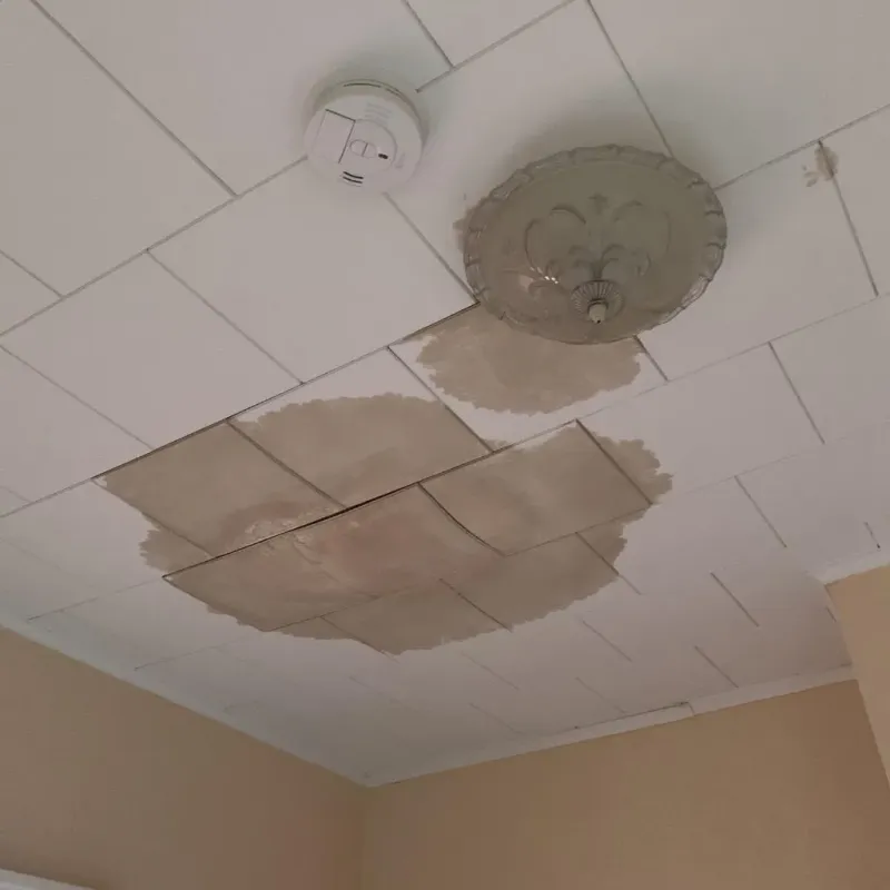 Ceiling Water Damage Repair in River Oaks, TX