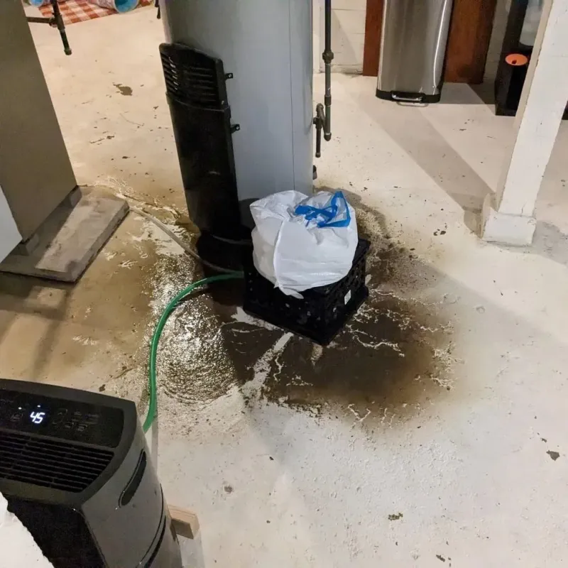Sewage Backup Cleanup Service in River Oaks, TX